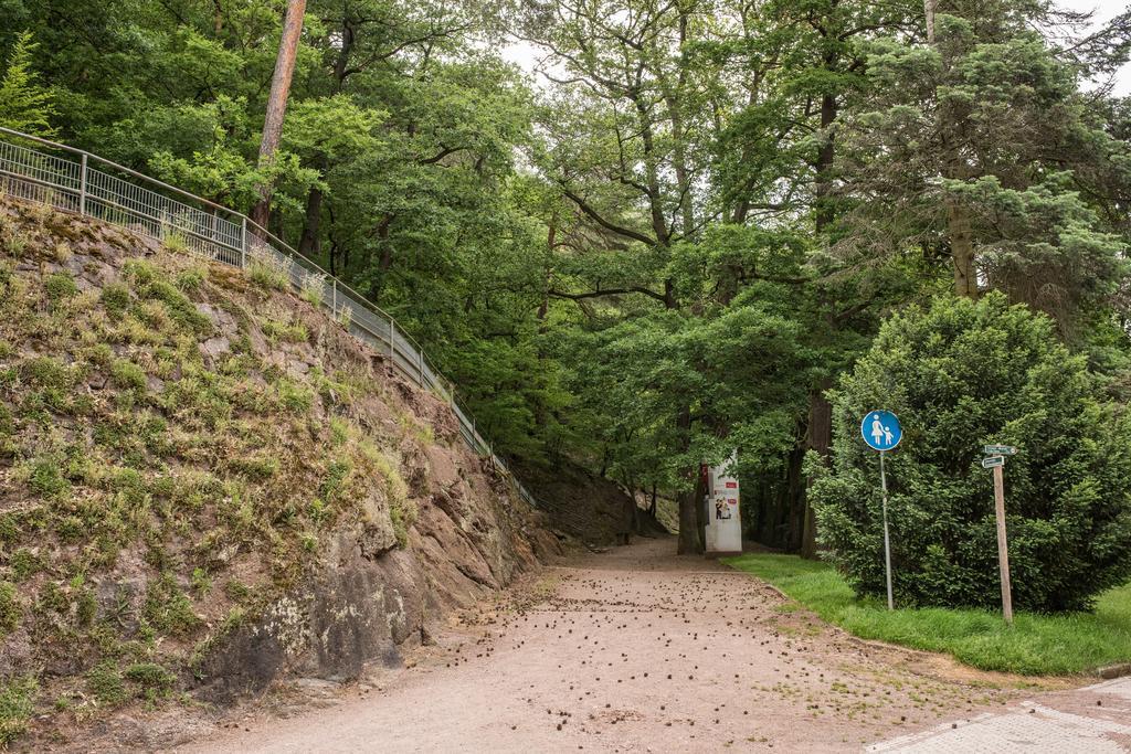 Loftwohnung Mit Sauna - Natur Und Kultur In Eisenach Erleben Und Geniessen エクステリア 写真
